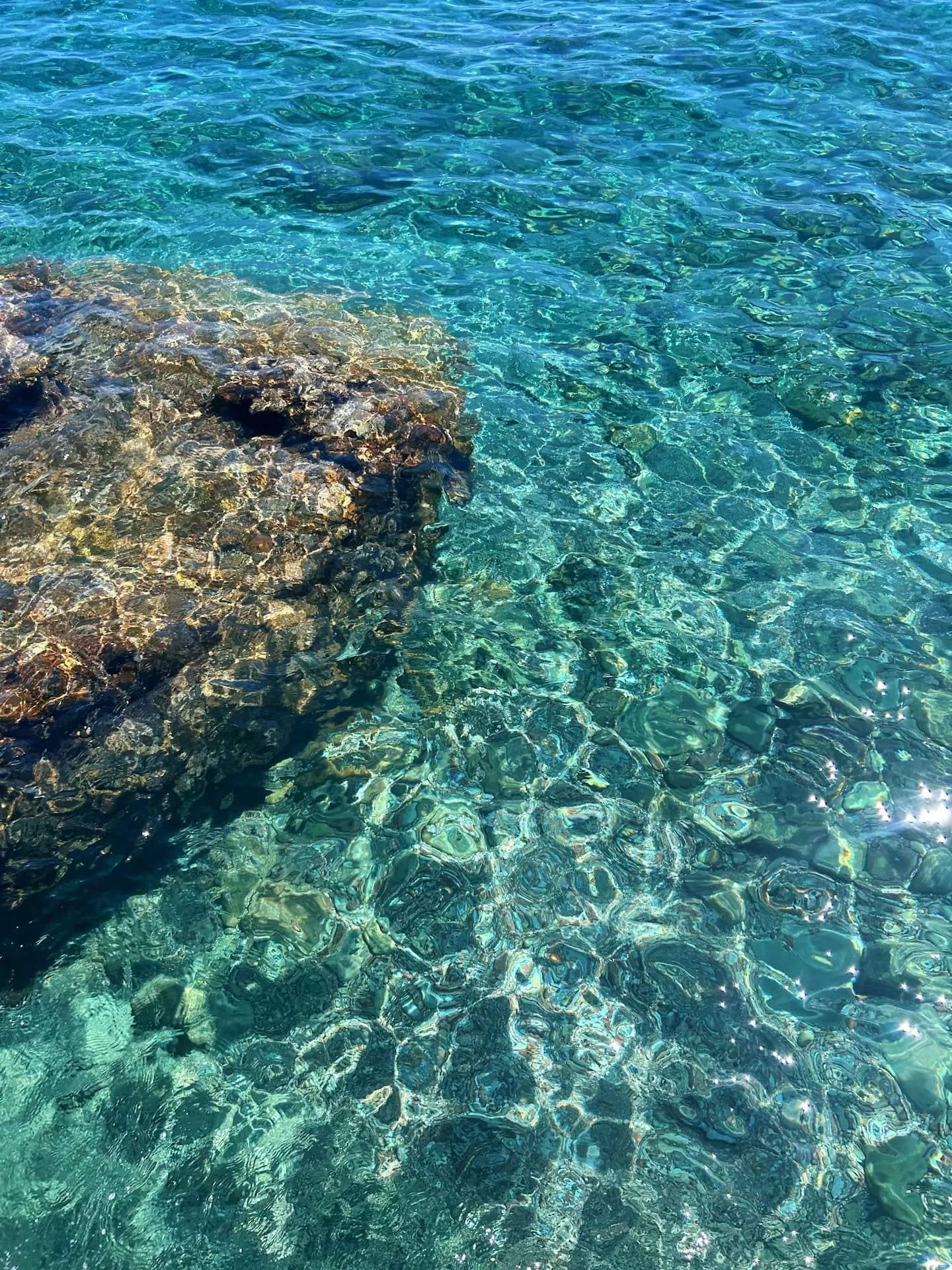 Fotógrafo en la orilla del mar